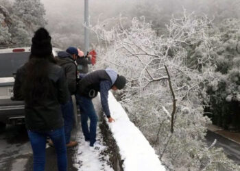 ¡Cobija hasta al perrito!: habrá lluvias, viento y mucho frío por el aire ártico