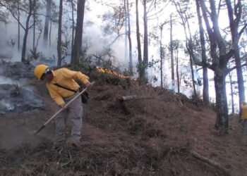 Por incendio forestal evacúan a 12 familias en Santiago, Nuevo León