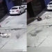 VIDEO. Bienestar Animal resguardará 10 días a pitbull que atacó a abuelita en Puebla