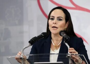 Gobierno estatal debe a NLD más de 30 mdp: Carmen Lilia Canturosas