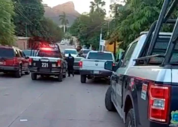 Violencia al máximo: asesinan a balazos a 7 en un sólo día
