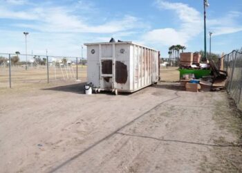 Nuevo Laredo tiene centro de acopio de pinos naturales