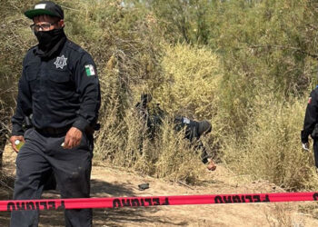 Suman 15 cadáveres hallados en fosas clandestinas en Mexicali