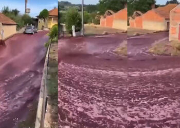 VIDEO. Vino inunda calles tras explosión de tanques en viñedo de Portugal
