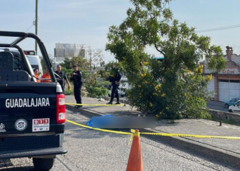 Hombre muere electrocutado al tocar accidentalmente un cable en Guadalajara